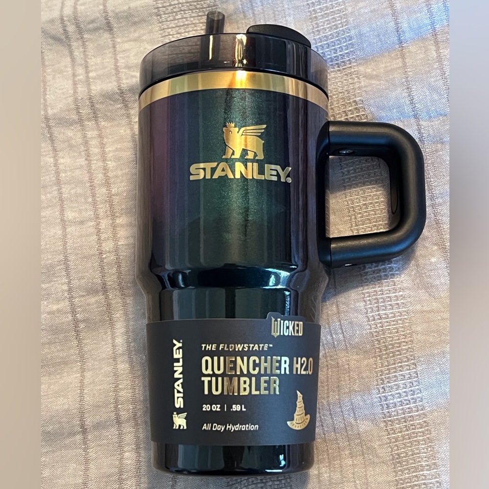 Stanley Elphaba for Good 20 oz Tumbler NWT - Picture 1 of 9
